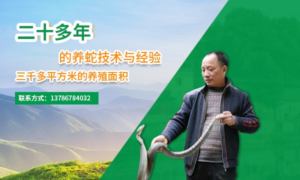 随到随学