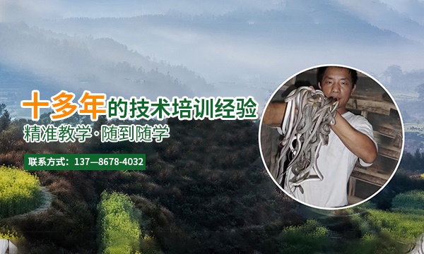 十几年种植经验